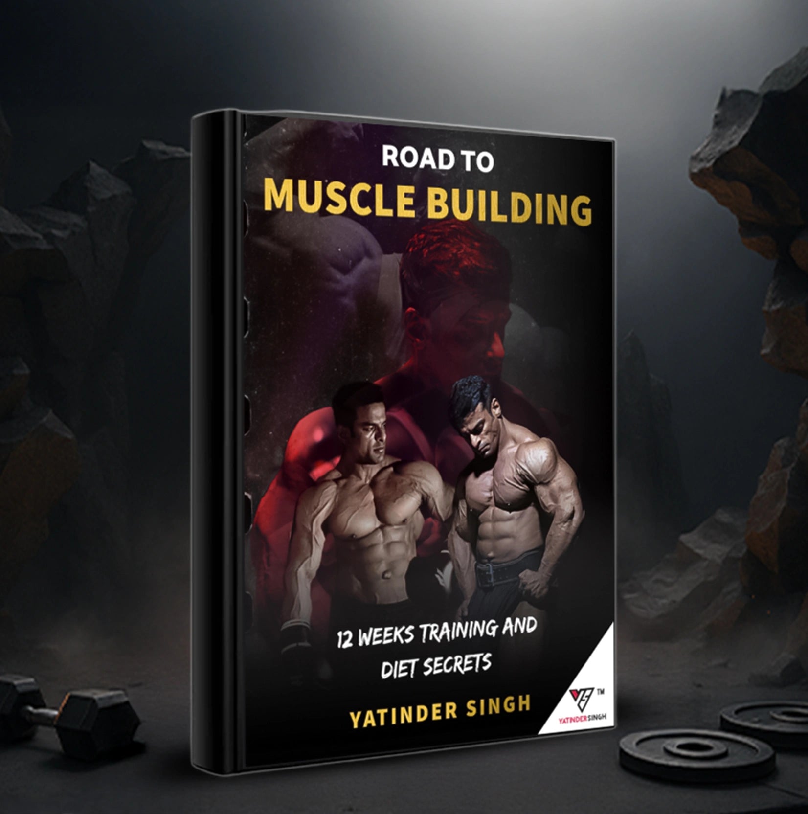 Road to Muscle Building